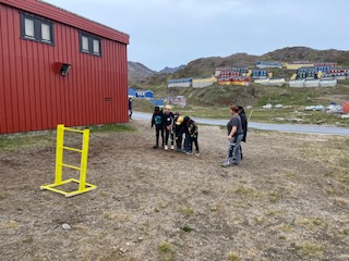 Processerne i Sommerskolen er vigtige. Projektet her, viser Stigegolf, som børnene selv har bygget og malet. Herefter kunne spillet bruges til pauserne eller når man bare lige have lyst til en dyst.